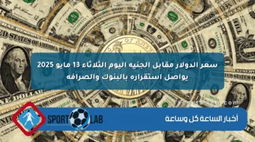 سعر الدولار مقابل الجنيه اليوم الثلاثاء 13 مايو 2025 يواصل استقراره بالبنوك والصرافة